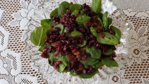 Spinach Cranberry Salad - Hopelessly Hopeful Blog