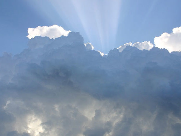 Heavenly Delight